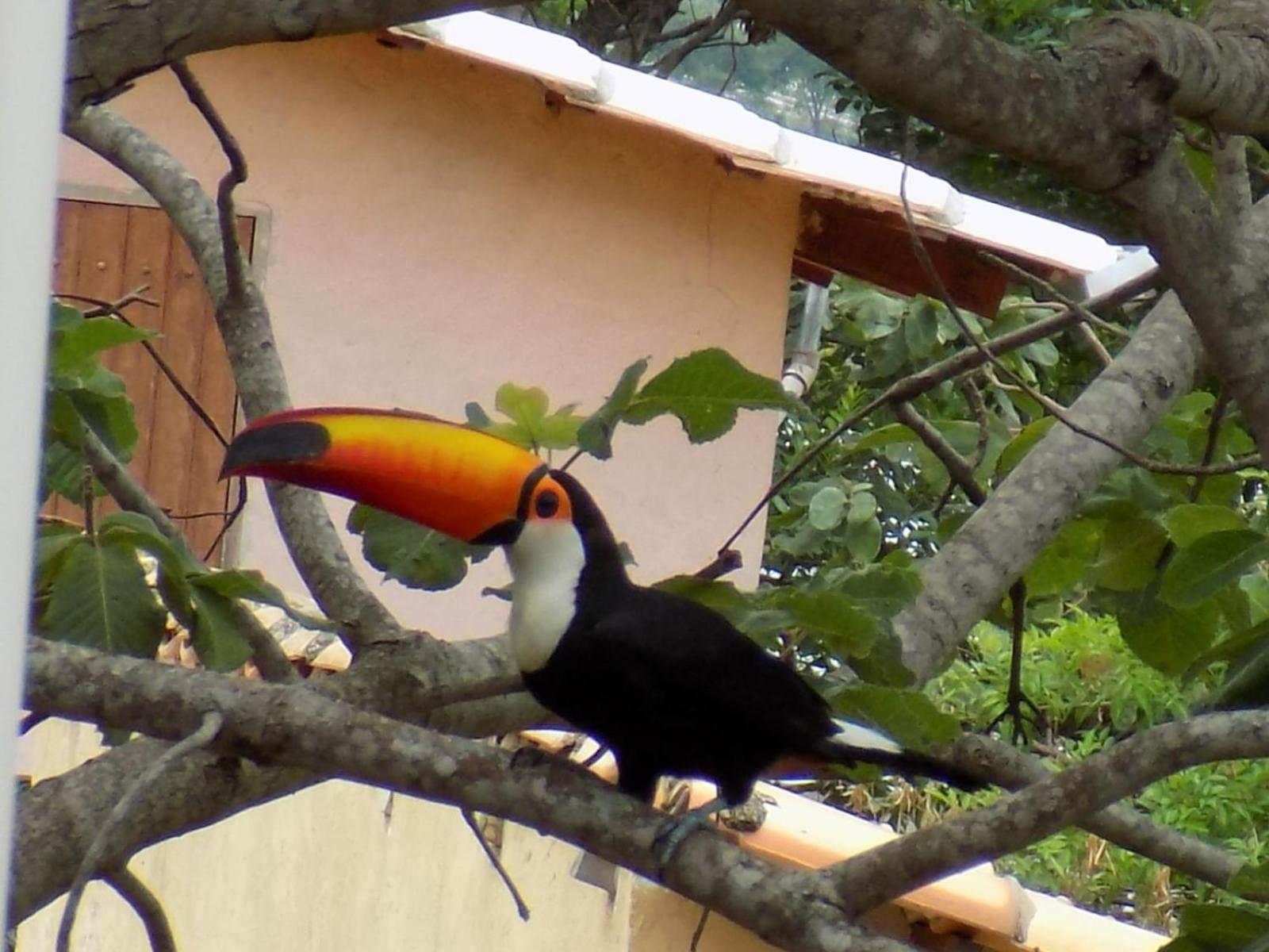 Pousada Fenix Pirenópolis Exteriér fotografie