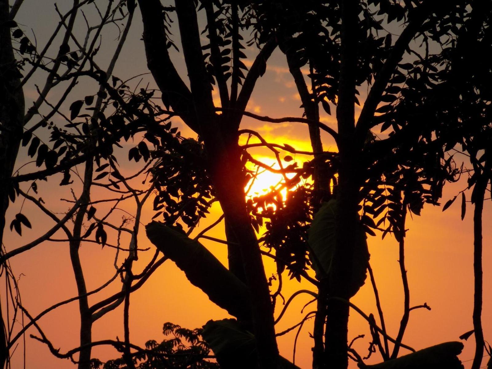 Pousada Fenix Pirenópolis Exteriér fotografie