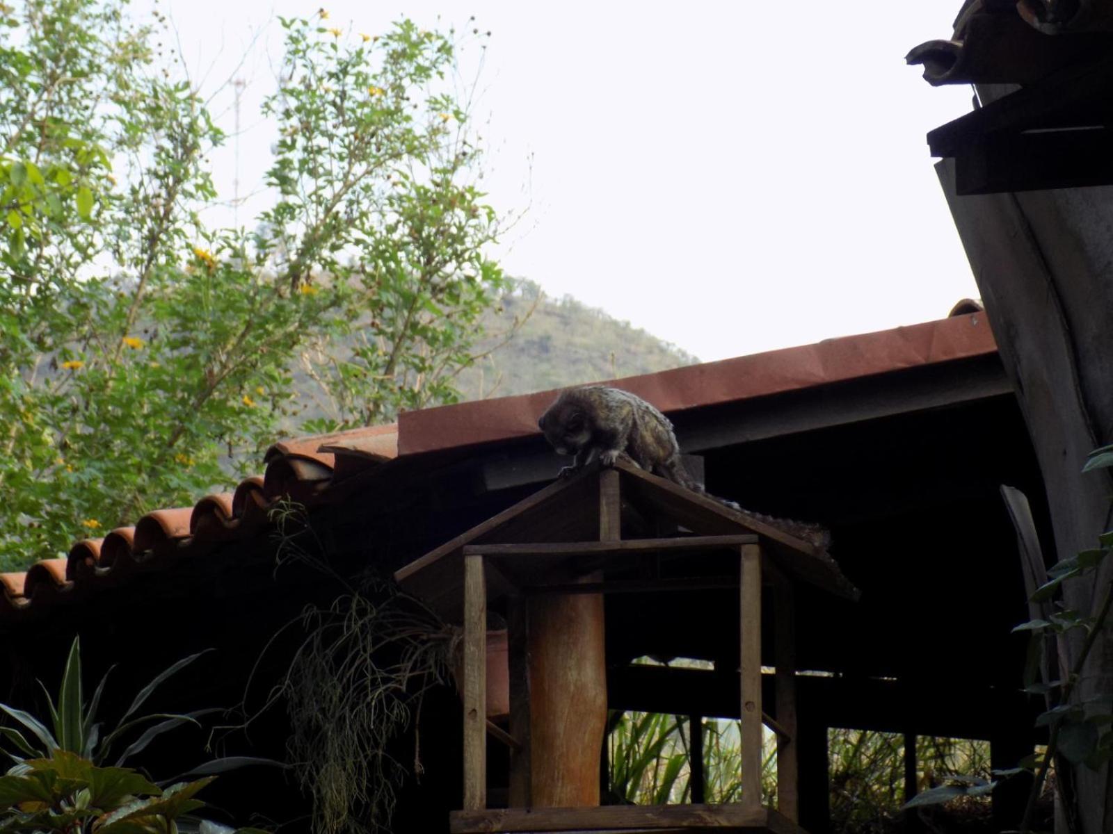 Pousada Fenix Pirenópolis Exteriér fotografie